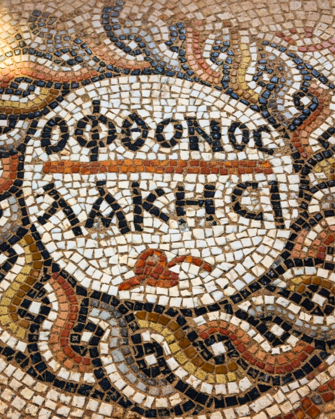 Alanya’da şaşırtıcı derecede modern anlam taşıyan antik mozaik bulundu